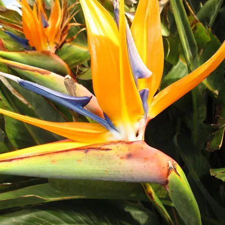 Residencia Machado بيت ضيافة 3*