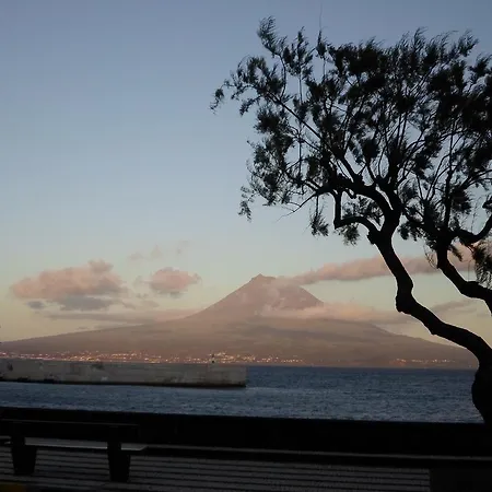 Residencia Machado Guest house Horta (Azores)