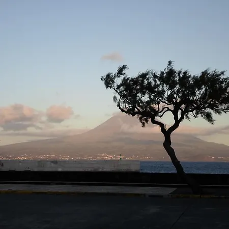 Residencia Machado בית הארחה