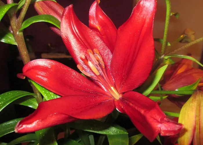 Penzion Residencia Machado 3*