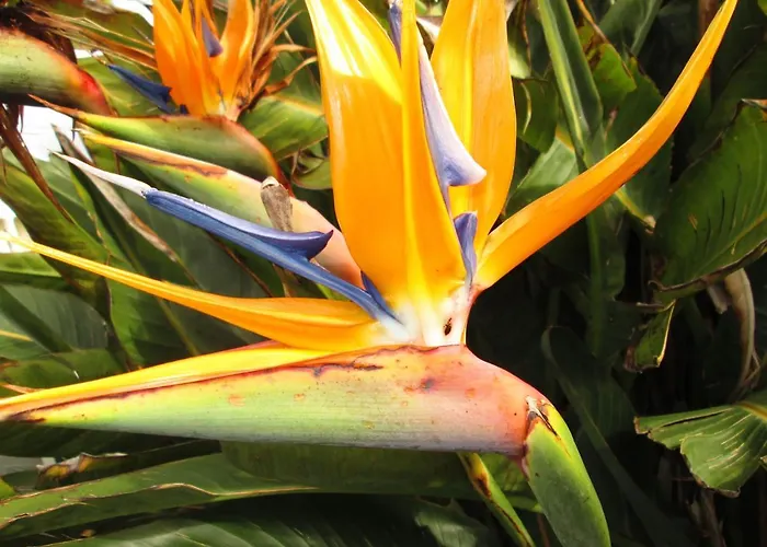 Residencia Machado Гостевой дом 3*