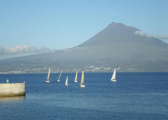 Гостевой дом Residencia Machado Орта