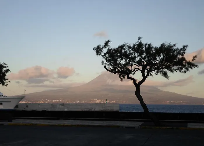 Residencia Machado Гостевой дом